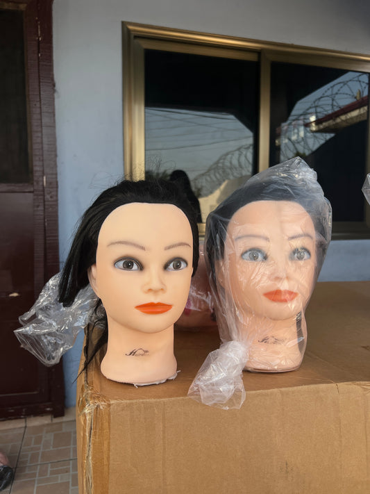 Synthetic Practice Mannequin Head